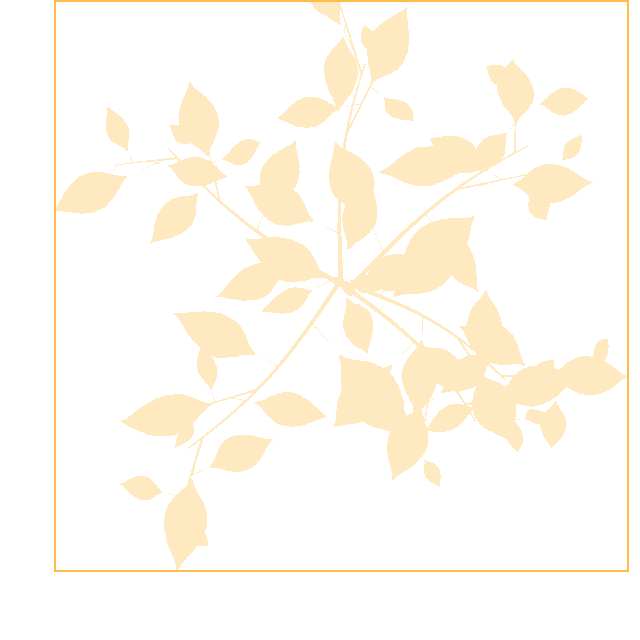 Generated Palmer box and visible plant mask